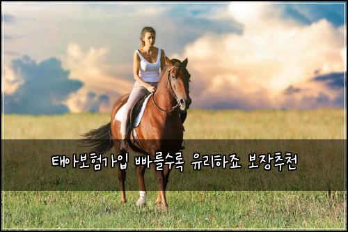 태아보험가입 빠를수록 유리하죠 보장추천