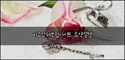 ๋น๊ต์ํด๋ณดํ์ฌ์ดํธ ์์ฝ์ค๋ช