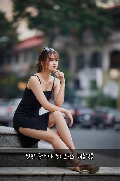 남편 종신이나 정기보험요 배울것들