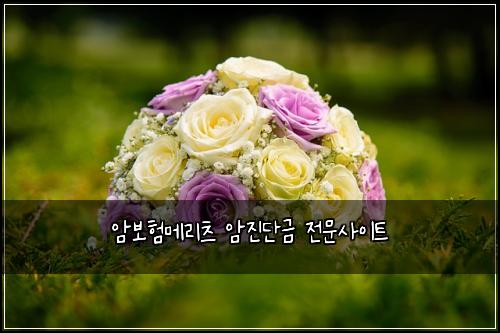 ์๋ณดํ๋ฉ๋ฆฌ์ธ ์์ง๋จ๊ธ ์ ๋ฌธ์ฌ์ดํธ