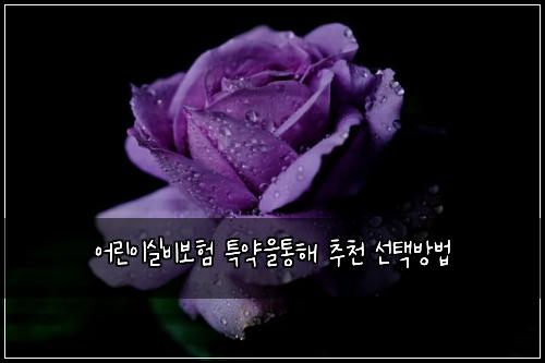 ์ด๋ฆฐ์ด์ค๋น๋ณดํ ํน์ฝ์ํตํด ์ถ์ฒ ์ ํ๋ฐฉ๋ฒ