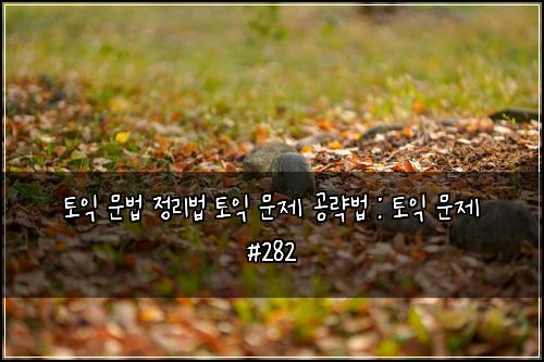 토익 문법 정리법 토익 문제 공략법 : 토익 문제 #282
