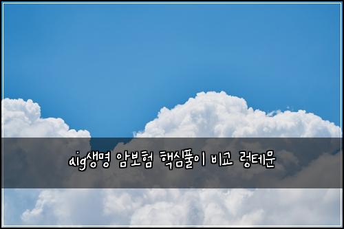 aig생명 암보험 핵심풀이  비교 렁테문