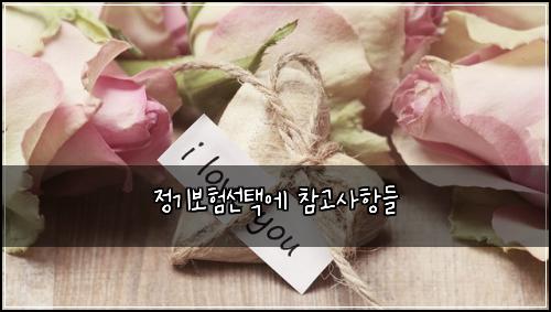 정기보험선택에 참고사항들