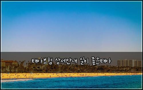 태아보험 상세안내  실비 좋은태아