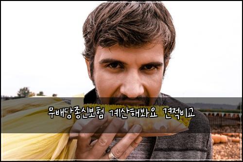 ๋ฌด๋ฐฐ๋น์ข
์ ๋ณดํ ๊ณ์ฐํด๋ด์ ๊ฒฌ์ ๋น๊ต