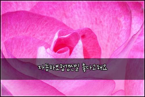 자동차보험갱신일 좋다고해요
