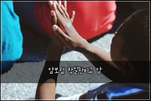 암보험 착실한비교  암