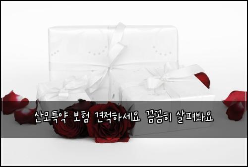 산모특약 보험 견적하세요  꼼꼼히 살펴봐요