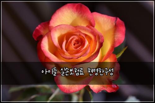 아이들 실손보험료 현명한구성
