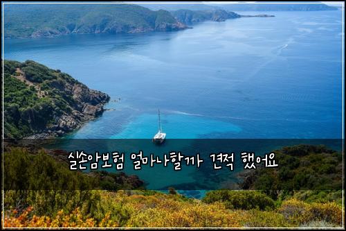 실손암보험 얼마나할까  견적 했어요