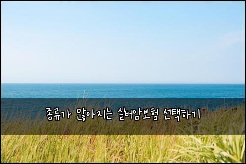 종류가 많아지는 실버암보험 선택하기