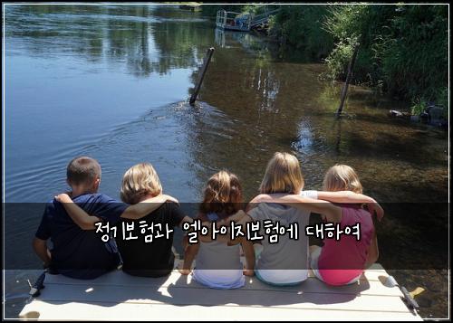 정기보험과 엘아이지보험에 대하여