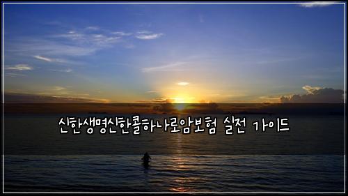 신한생명신한콜하나로암보험 실전 가이드