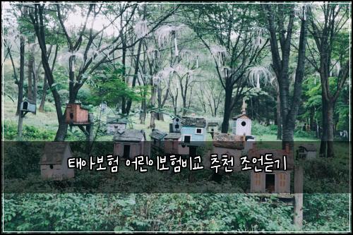 태아보험 어린이보험비교 추천 조언듣기