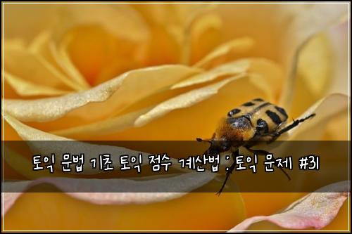 토익 문법 기초 토익 점수 계산법 : 토익 문제 #31