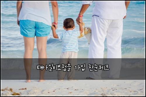태아실비보험을 가입 한눈체크