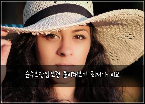 순수보장암보험 준비해보기  최저가 비교