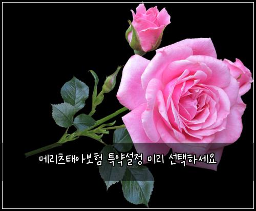 메리츠태아보험 특약설정  미리 선택하세요