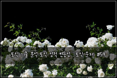 토익 기출 분석 토익 성적 변동성 : 토익 문제 #54