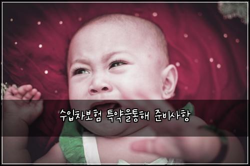 수입차보험 특약을통해  준비사항