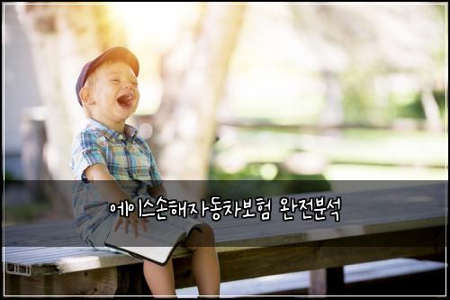 ์์ด์ค์ํด์๋์ฐจ๋ณดํ ์์ ๋ถ์