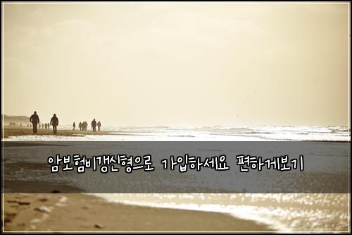 암보험비갱신형으로 가입하세요 편하게보기