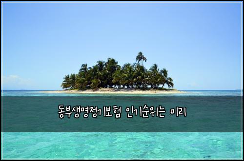 ๋๋ถ์๋ช
์ ๊ธฐ๋ณดํ ์ธ๊ธฐ์์๋ ๋ฏธ๋ฆฌ