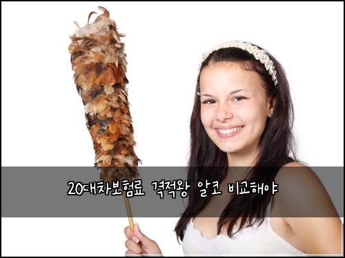 20๋์ฐจ๋ณดํ๋ฃ ๊ฒฉ์ ์ ์์ฝ ๋น๊ตํด์ผ