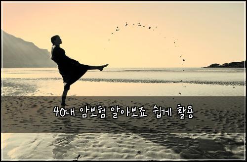 40๋ ์๋ณดํ ์์๋ณด์ฃ ์ฝ๊ฒ ํ์ฉ