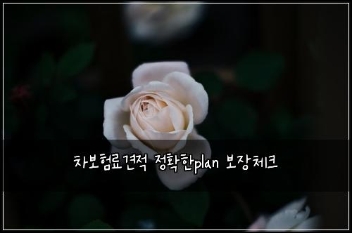 ์ฐจ๋ณดํ๋ฃ๊ฒฌ์ ์ ํํplan ๋ณด์ฅ์ฒดํฌ