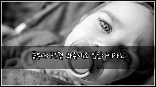 동부태아보험 봐쥬세요  임신아니라도