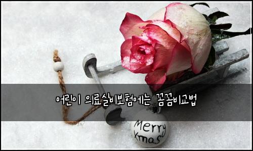 ์ด๋ฆฐ์ด ์๋ฃ์ค๋น๋ณดํ์๋ ๊ผผ๊ผผ๋น๊ต๋ฒ