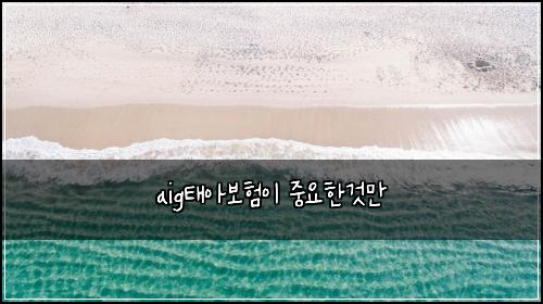 aig태아보험이 중요한것만