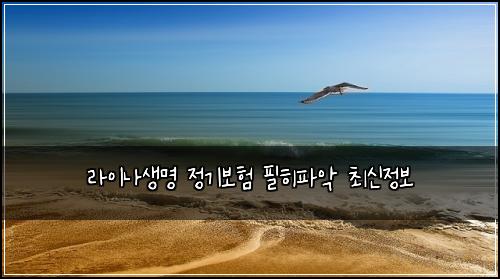 라이나생명 정기보험 필히파악  최신정보