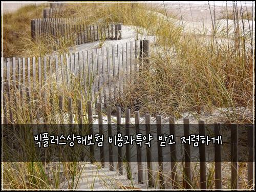 ๋น
ํ๋ฌ์ค์ํด๋ณดํ ๋น์ฉ๊ณผํน์ฝ ๋ฐ๊ณ ์ ๋ ดํ๊ฒ