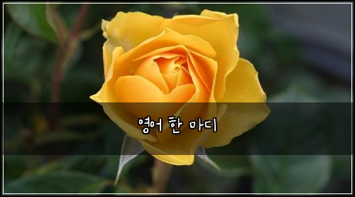 ์์ด ํ ๋ง๋