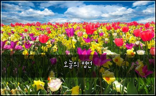 오늘의 명언