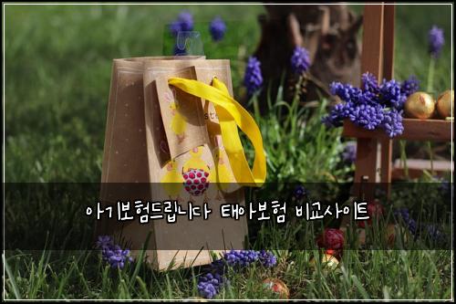 아기보험드립니다 태아보험 비교사이트
