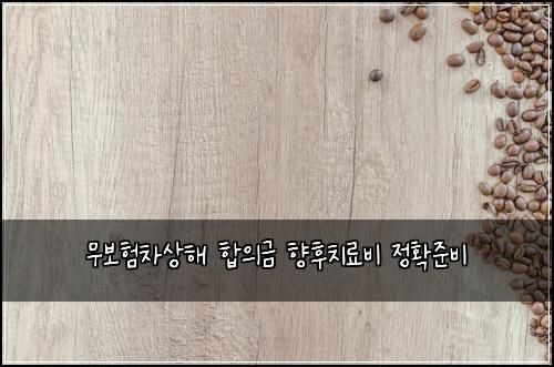무보험차상해 합의금 향후치료비 정확준비