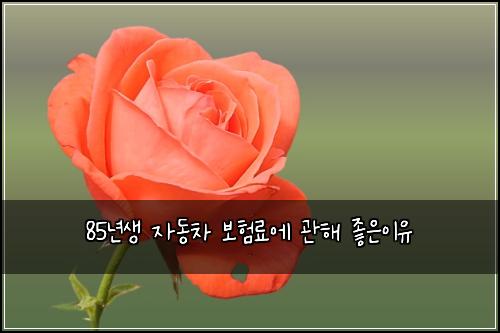 85년생 자동차 보험료에 관해 좋은이유