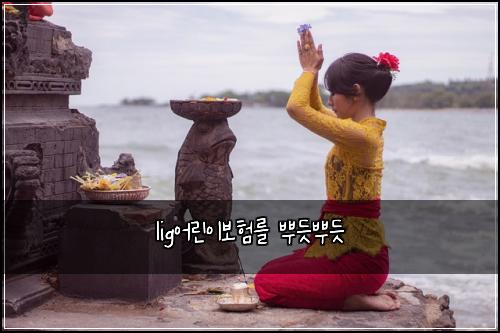 lig어린이보험를 뿌듯뿌듯