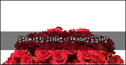 동부태아보험 고려해보기  현대해상꼼꼼저렴