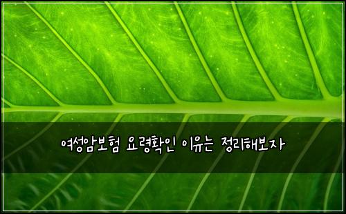 여성암보험 요령확인  이유는 정리해보자