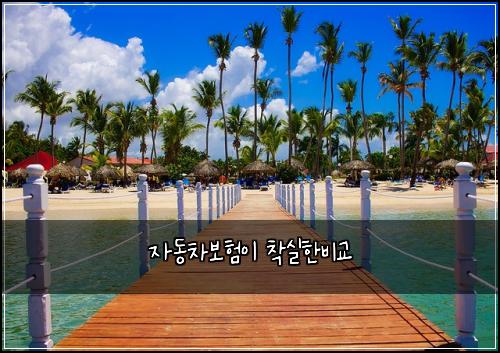 자동차보험이 착실한비교