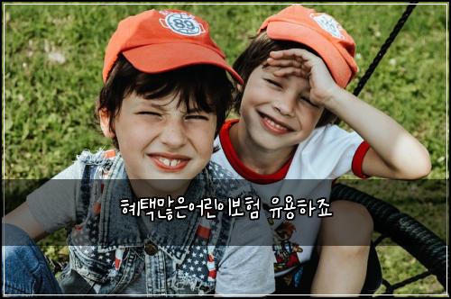 ํํ๋ง์์ด๋ฆฐ์ด๋ณดํ ์ ์ฉํ์ฃ