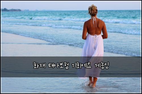 ํ์ฌ ํ์๋ณดํ ๊ธฐํ์์ ๊ฒ๋์