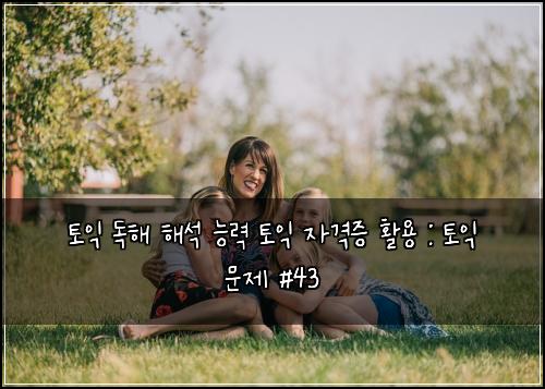 토익 독해 해석 능력 토익 자격증 활용 : 토익 문제 #43