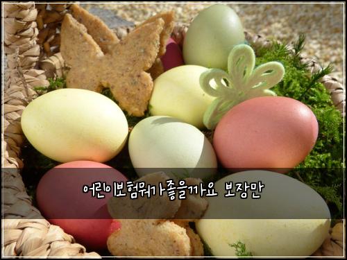 ์ด๋ฆฐ์ด๋ณดํ๋ญ๊ฐ์ข์๊น์ ๋ณด์ฅ๋ง