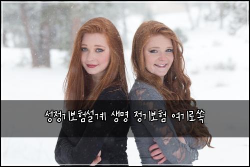 성정기보험설계 생명 정기보험 여기로쏙